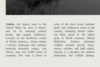 Alaska State Wall Art Poster Poster Alaska State  Black White Poster  Poster  Art Gift 1695490617
