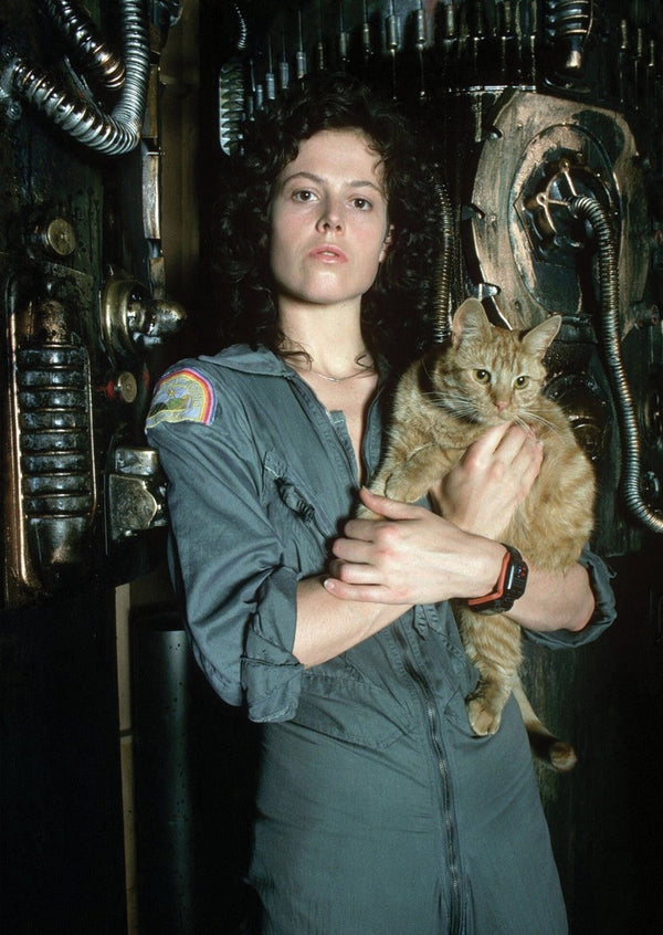 Alien Ripley with Jonesy the Cat in the Nostromo Alternative Film Movie Print Wall Art Poster 1562563840