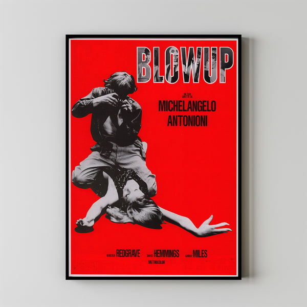 BLOW-UP Movie Poster, Canvas Wall Art, Room Decor, Movie Art 1
