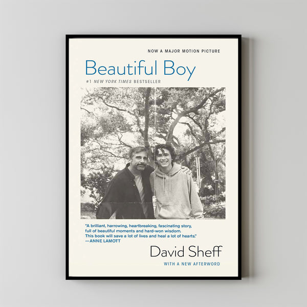 Beautiful Boy Movie Poster 2023 FilmRoom Decor Wall ArtPoster GiftCanvas prints 4