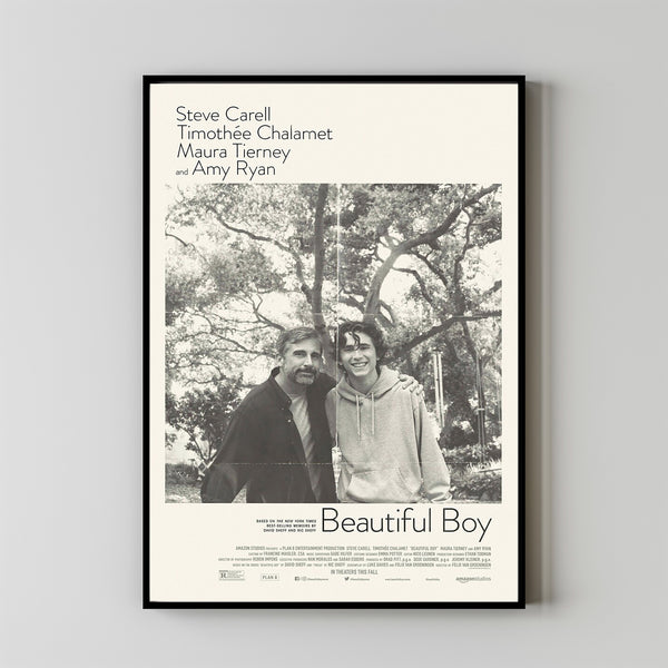 Beautiful Boy Movie Poster 2023 FilmRoom Decor Wall ArtPoster GiftCanvas prints 5