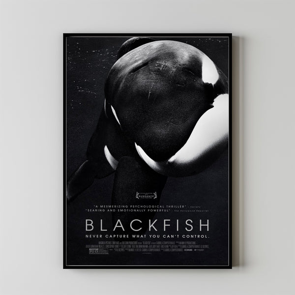 Blackfish Movie Poster,Film Fan Collectibles,Vintage Movie Poster,Home Decor,Wall Art,Poster Gifts 2