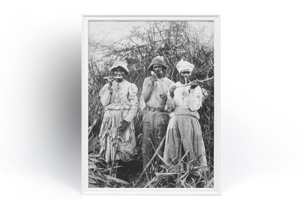 Cane cutters in Jamaica 3 Black People Farmer sugar plantation Vintage Antique Poster Fine Art  Poster  Art Gift 1558246693