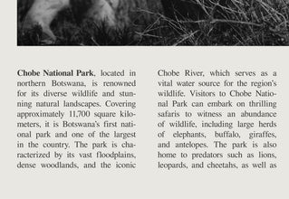 Chobe National Park Botswana Wall Art Poster Poster Black White Chobe National Park, Botswana Poster  Poster  Art Gift 1699841707