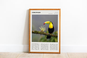 Corcovado Brazil Wall Art Poster Poster Corcovado Brazil   Black White Poster  Poster  Art Gift 1699807875