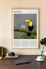 Corcovado Brazil Wall Art Poster Poster Corcovado Brazil   Black White Poster  Poster  Art Gift 1699807875