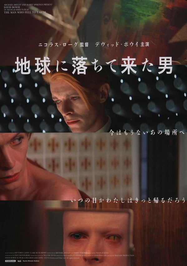 David Bowie The Man who Fell to Earth Japanese Alternative Print Wall Art Poster 1561940912