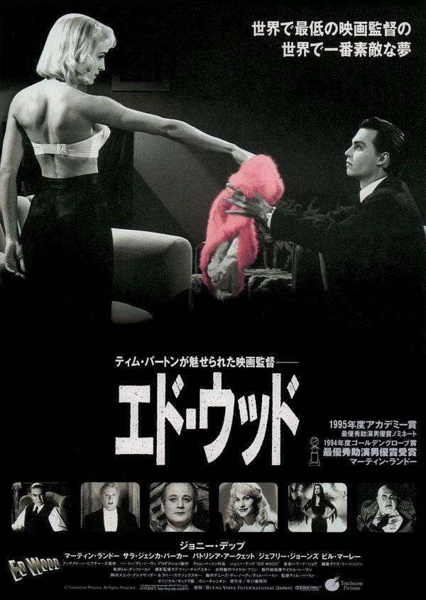 Ed Wood Japanese Alternative Film Movie Print Wall Art Poster 1576138271