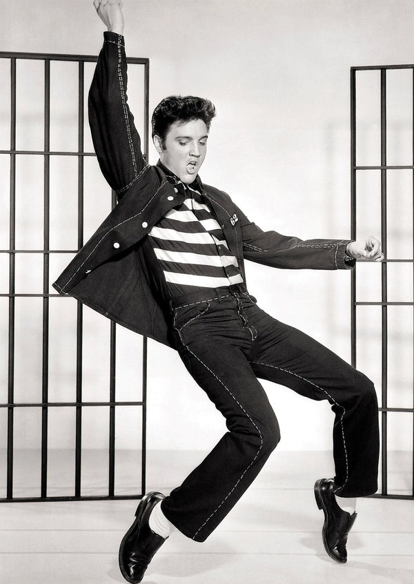Elvis Photoshoot Print Wall art Poster 1562506366
