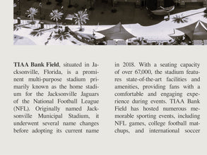 EverBank Stadium Wall Art TIAA U.S. Bank Field Poster  Black White Poster  Poster  Art Gift 1670996186