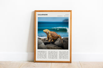 Galápagos Islands Wall Art Poster Poster Galápagos Islands  Black White Poster  Poster  Art Gift 1699934937