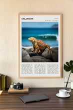 Galápagos Islands Wall Art Poster Poster Galápagos Islands  Black White Poster  Poster  Art Gift 1699934937