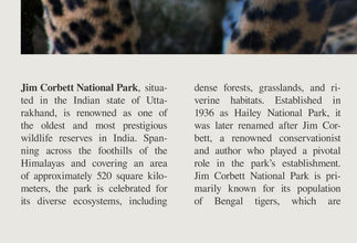 Jim Corbett National Park Wall Art Poster India Poster Jim Corbett National Park  Black White Poster  Art Gift 1699762327