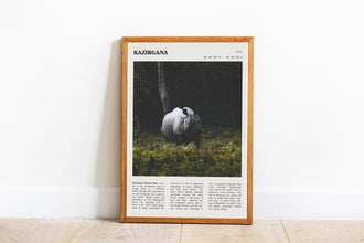 Kaziranga National Park Wall Art  Poster India Kaziranga National Park Black White Poster  Poster Gift 1699701161
