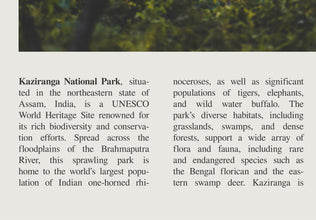 Kaziranga National Park Wall Art  Poster India Kaziranga National Park Black White Poster  Poster Gift 1699701161