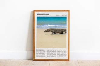 Komodo National Park Wall Art  Indonesia Komodo National Park Poster Black White Poster Poster Art Gift 1685566270
