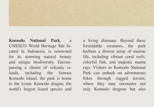 Komodo National Park Wall Art  Indonesia Komodo National Park Poster Black White Poster Poster Art Gift 1685566270