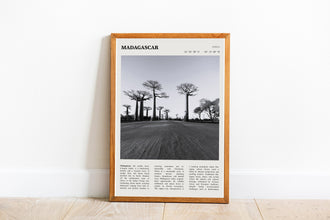 Madagascar Baobap Tree Print Wall Art Poster Madagascar Baobap Tree  Black White Poster  Poster Art Gift 1687876222