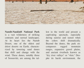 Namib-Naukluft National Park Wall Art  Poster Namib Naukluft National Park Black White Poster Art Gift 1699737283