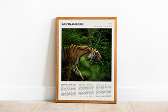 Ranthambore National Park Wall Art  India Poster Ranthambore Black White Poster  Poster Art Gift 1699930717
