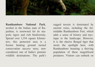 Ranthambore National Park Wall Art  India Poster Ranthambore Black White Poster  Poster Art Gift 1699930717