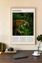 Ranthambore National Park Wall Art  India Poster Ranthambore Black White Poster  Poster Art Gift 1699930717