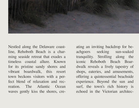 Rehoboth Beach Wall Art Poster Summer Rehoboth Beach  Poster Art Gift 1628627648 1590
