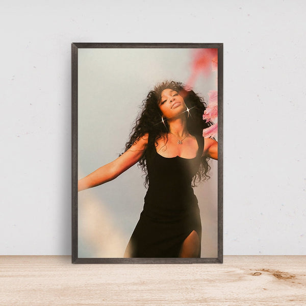 SZA Poster - Room Decor Wall Art - Canvas Fabric Print - Poster Gift 1621894722
