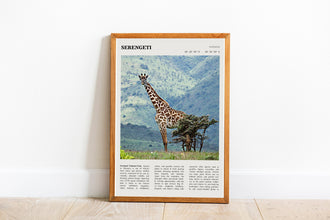 Serengeti National Park Wall Art  Poster Tanzania Serengeti Park Black White Poster  Poster Art Gift 1699939291