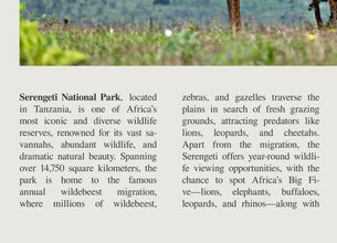 Serengeti National Park Wall Art  Poster Tanzania Serengeti Park Black White Poster  Poster Art Gift 1699939291