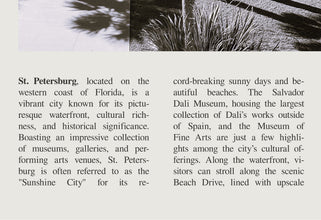 St. Petersburg Florida Wall Art  Poster St. Petersburg Florida USA Black White Poster  Poster Art Gift 1684464314