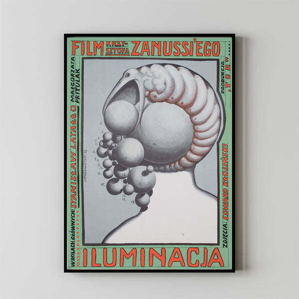 THE ILLUMINATION Movie Poster, Canvas Wall Art, Room Decor, Movie Art