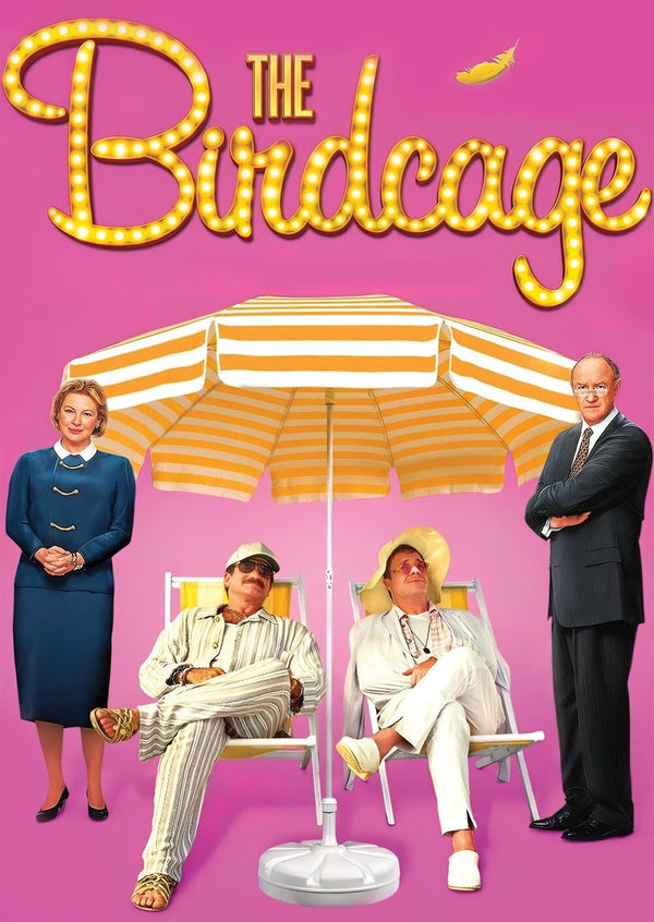 The Birdcage Alternative Film Movie Print Wall Art Poster 1564679432