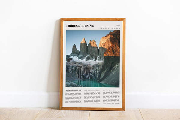 Torres del Paine National Park Wall Art  Poster Chile Torres del Paine Black White Poster  Poster Gift 1699930289
