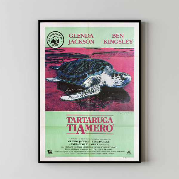 Turtle Diary Movie Poster Print, Canvas Wall Art, Room Decor, Movie Art