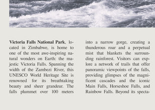 Victoria Falls National Park Wall Art  Zimbabwe Poster Black White Poster  Poster Art Gift 1699928291