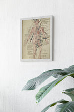 Vintage Anatomy Medicine Wall Art Medieval Poster Anatomy Wound Man Vintage Antique Poster Fine Art  Poster Art Gift 1543957108