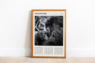 Volcanoes National Park Rwanda Wall Art  Poster Black White Volcanoes National Park Rwanda  Poster Art Gift 1685764160