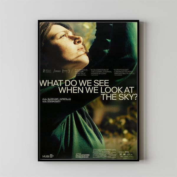 What Do We See When We Look At The Sky Movie Poster Print, Canvas Wall Art, Room Decor, Movie Art