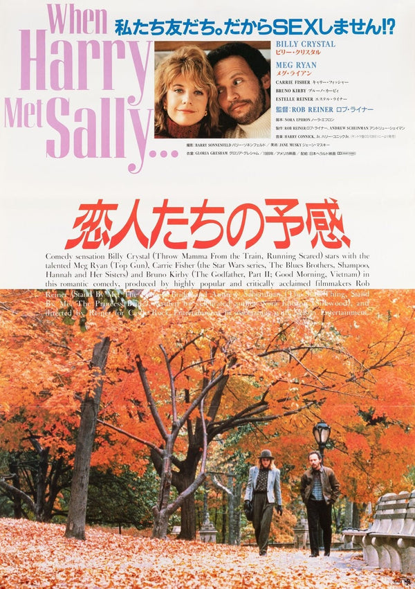 When Harry Met Sally Japanese Alternative Film Movie Print Wall Art Poster 1562177502