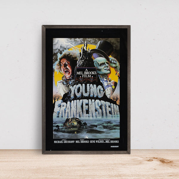 Young Frankenstein Movie Poster, Room Decor, Home Decor, Art Poster for Gift 1638924024