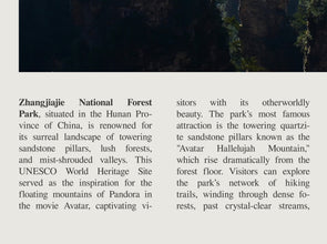 Zhangjiajie National Forest Park Wall Art  Poster Zhangjiajie China Black White Poster  Poster Art Gift 1699937445