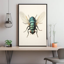 1960 Vintage Giant Tachinid Fly Print - Classic Flies Fly Illustration | Insect Diptera Entomology Art | Natural History Collectible