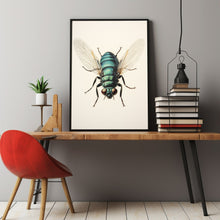 1960 Vintage Giant Tachinid Fly Print - Classic Flies Fly Illustration | Insect Diptera Entomology Art | Natural History Collectible