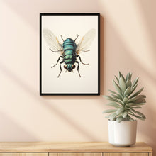 1960 Vintage Giant Tachinid Fly Print - Classic Flies Fly Illustration | Insect Diptera Entomology Art | Natural History Collectible